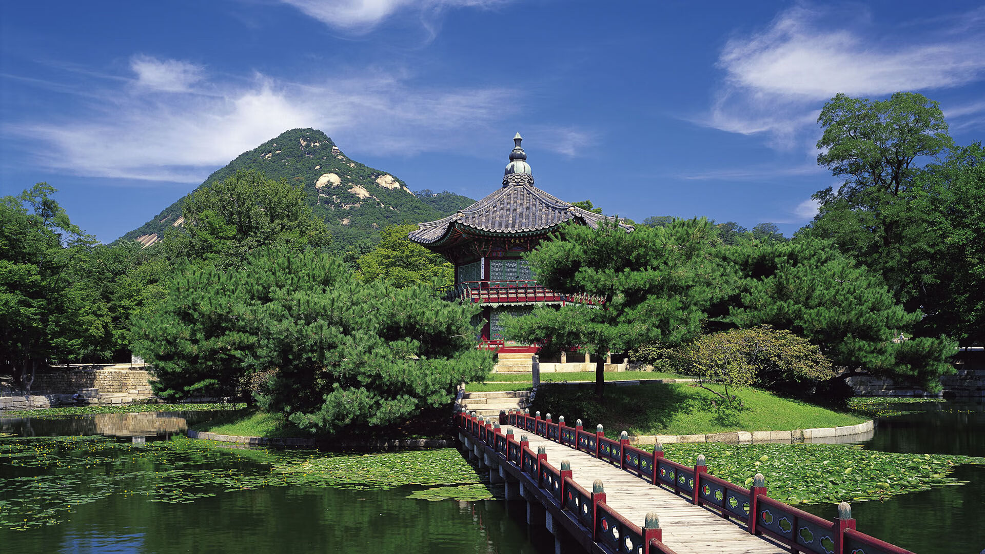 九游娱乐官网 (jiuyou)-_猛龙展现韧性，逆转赢得关键战_，猛龙yuta