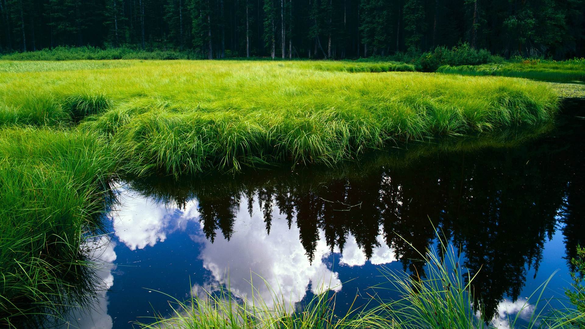 九游网页版入口-“中国女足备战世界杯，青年队员崭露头角”，中国女足世界杯亚军成员