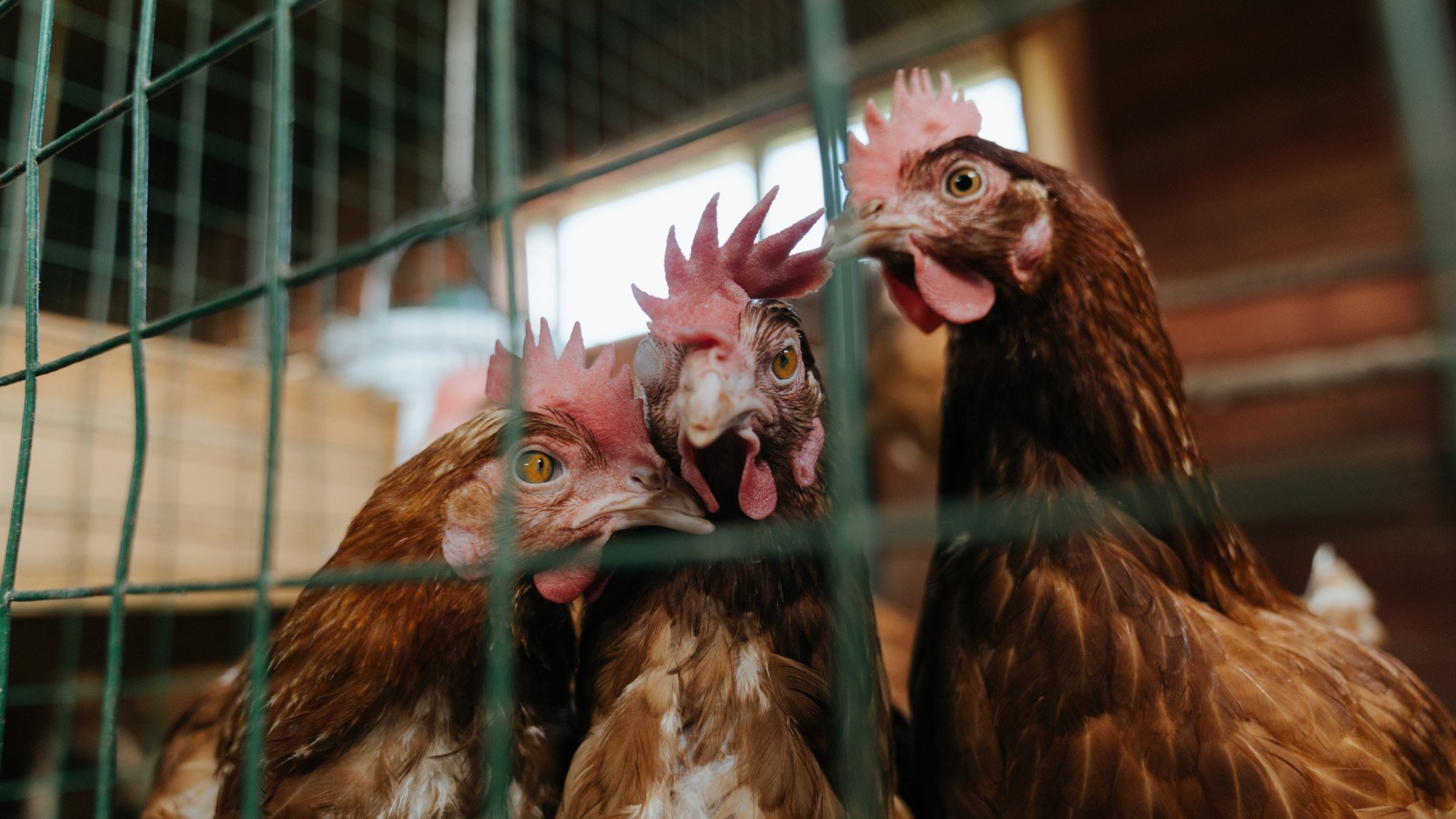 “英超劲旅持续发力，冠军争夺更趋紧张”，英超劲旅有哪些