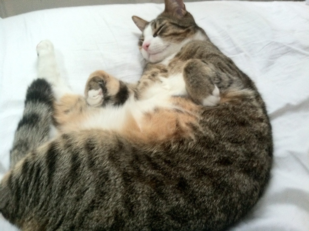 “英超劲旅持续发力，冠军争夺更趋紧张”，英超劲旅有哪些