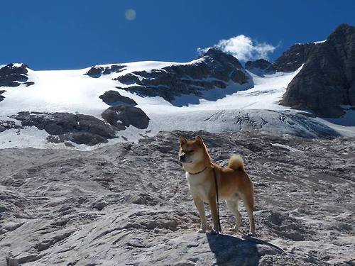 九游jiuyou-【比分追踪】本周最激烈的五场比赛实时分析，比分情况