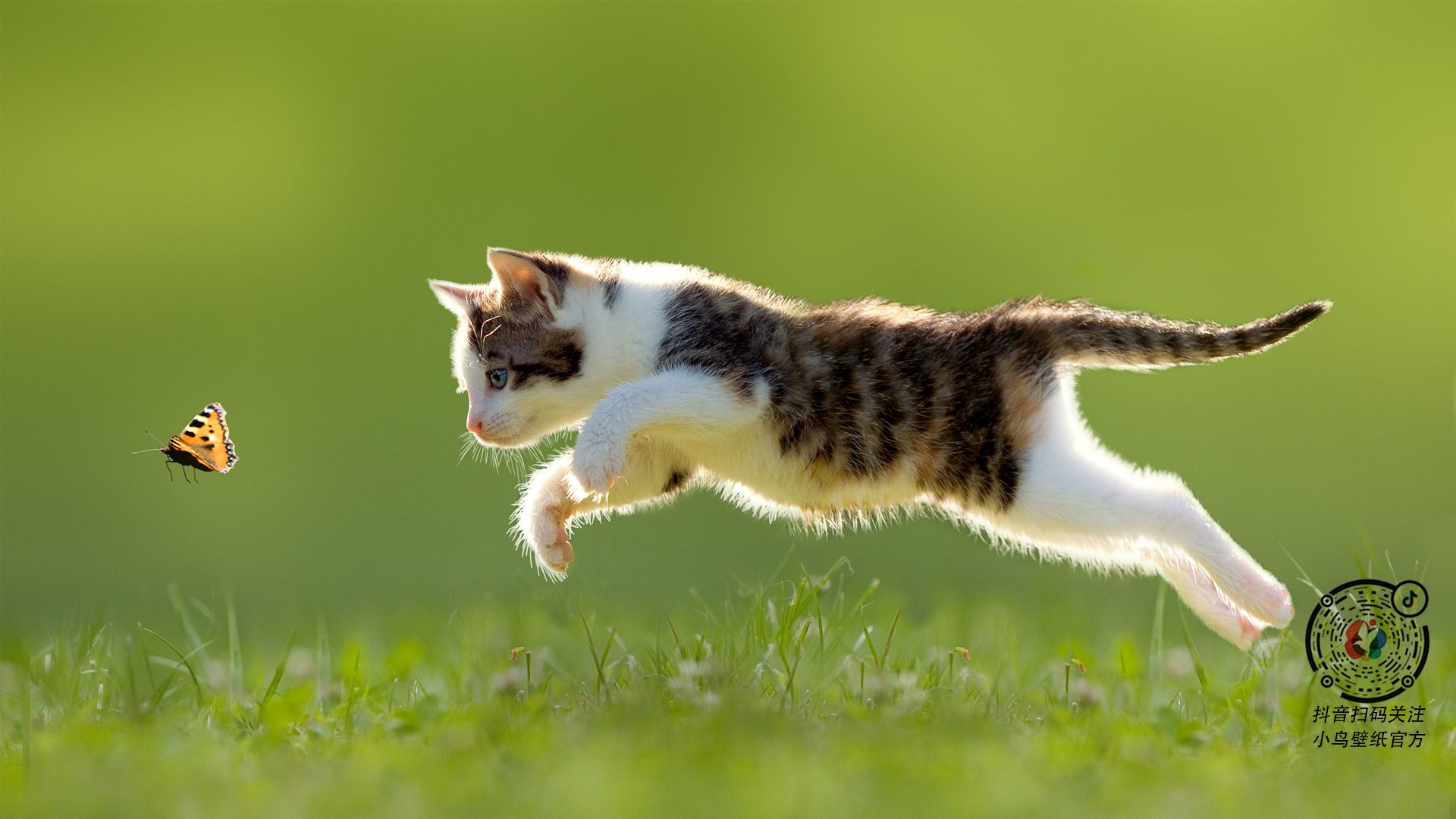 球员之间的友谊和竞争,体育精神的最佳体现,球员之间用什么语言交流