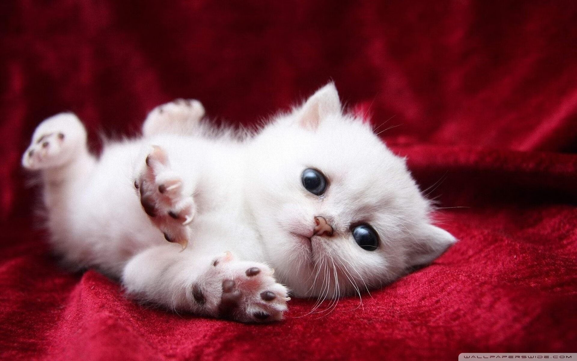 九游娱乐(jiuyou)官网-逆境中的“战斗机”球员：伤愈复出引爆团队士气