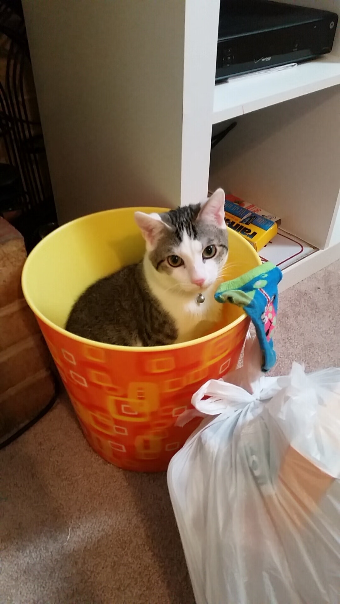 传球至上，约基奇助掘金征战鹈鹕，全队护卫荣耀，掘金球员约基奇个人资料