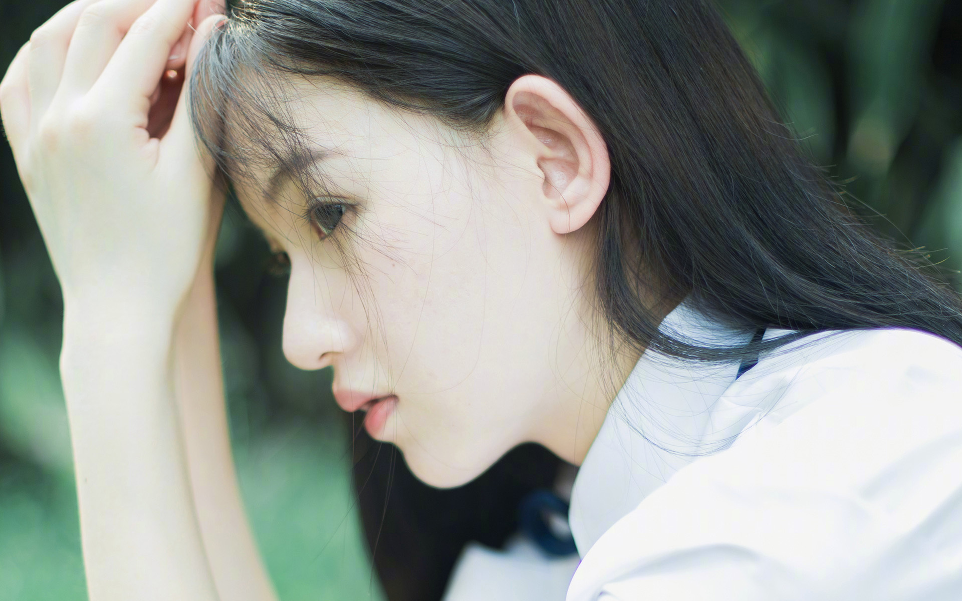 伊朗马术协会举办马匹护理培训班,提高骑手护理技能。,伊朗运动员马赛克