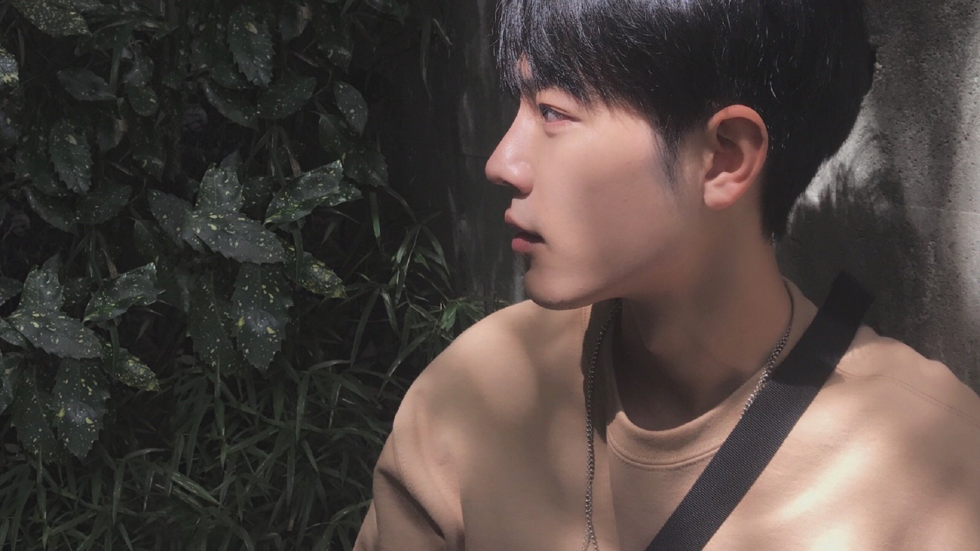 曼联小将获提拔,成为球队新希望,曼联新人