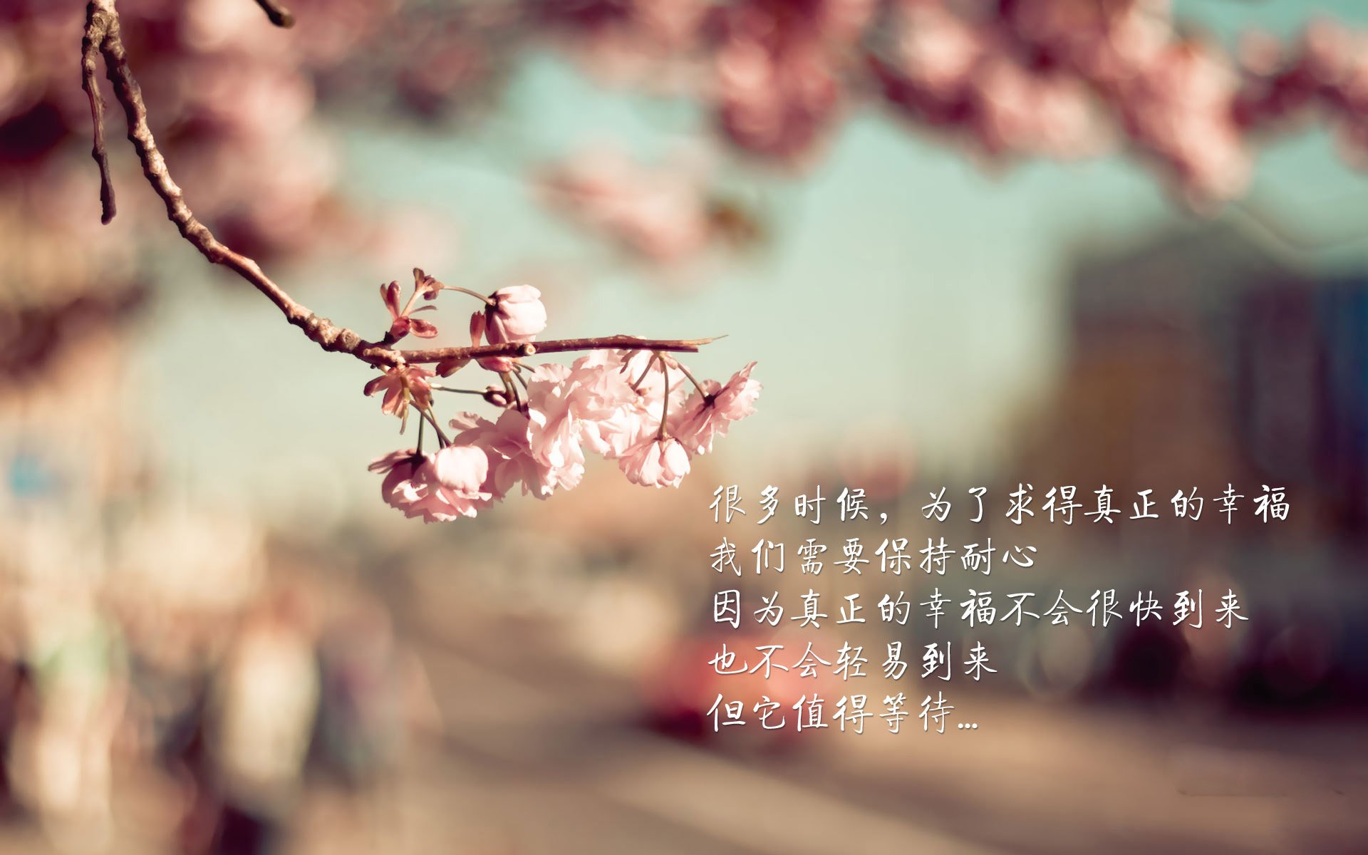 热刺主帅赛前发声,力保胜利,誓要振奋球队士气,热刺最新主帅