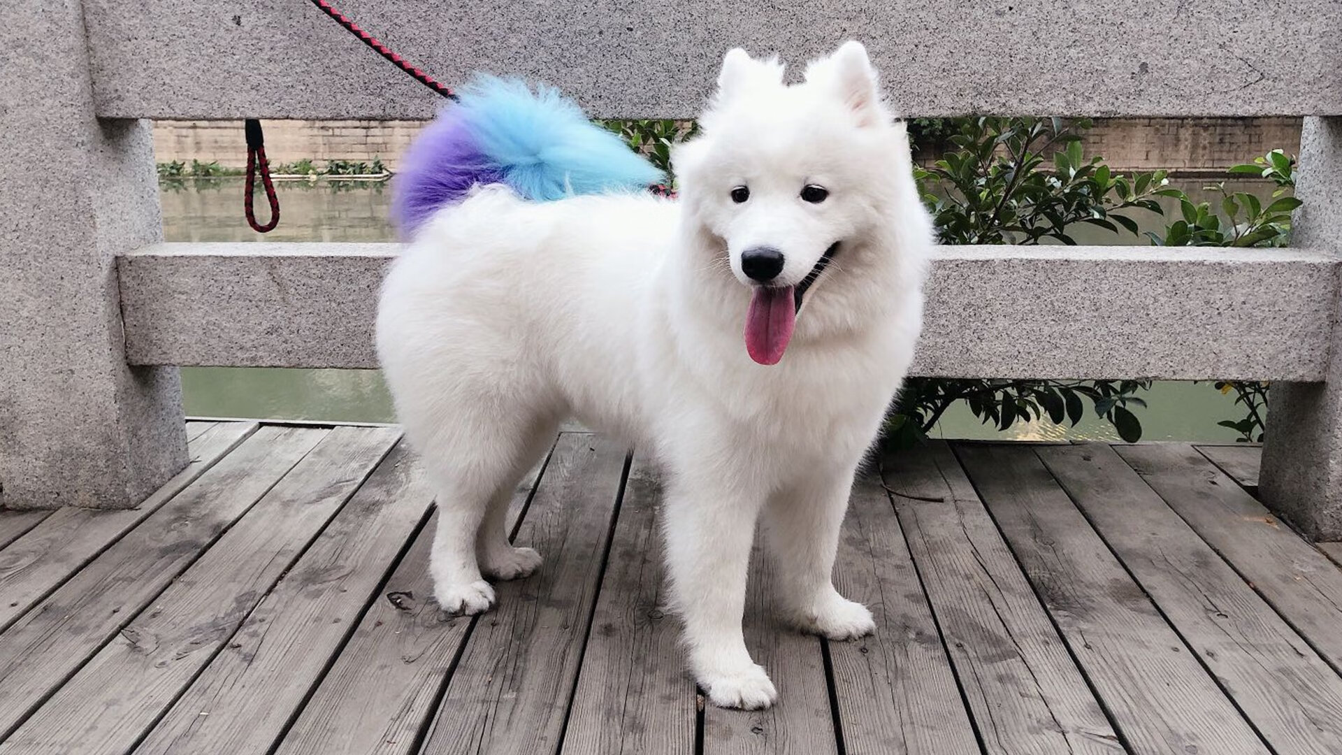 九游电脑版-意甲球队基于多源数据构建个性化体能管理系统