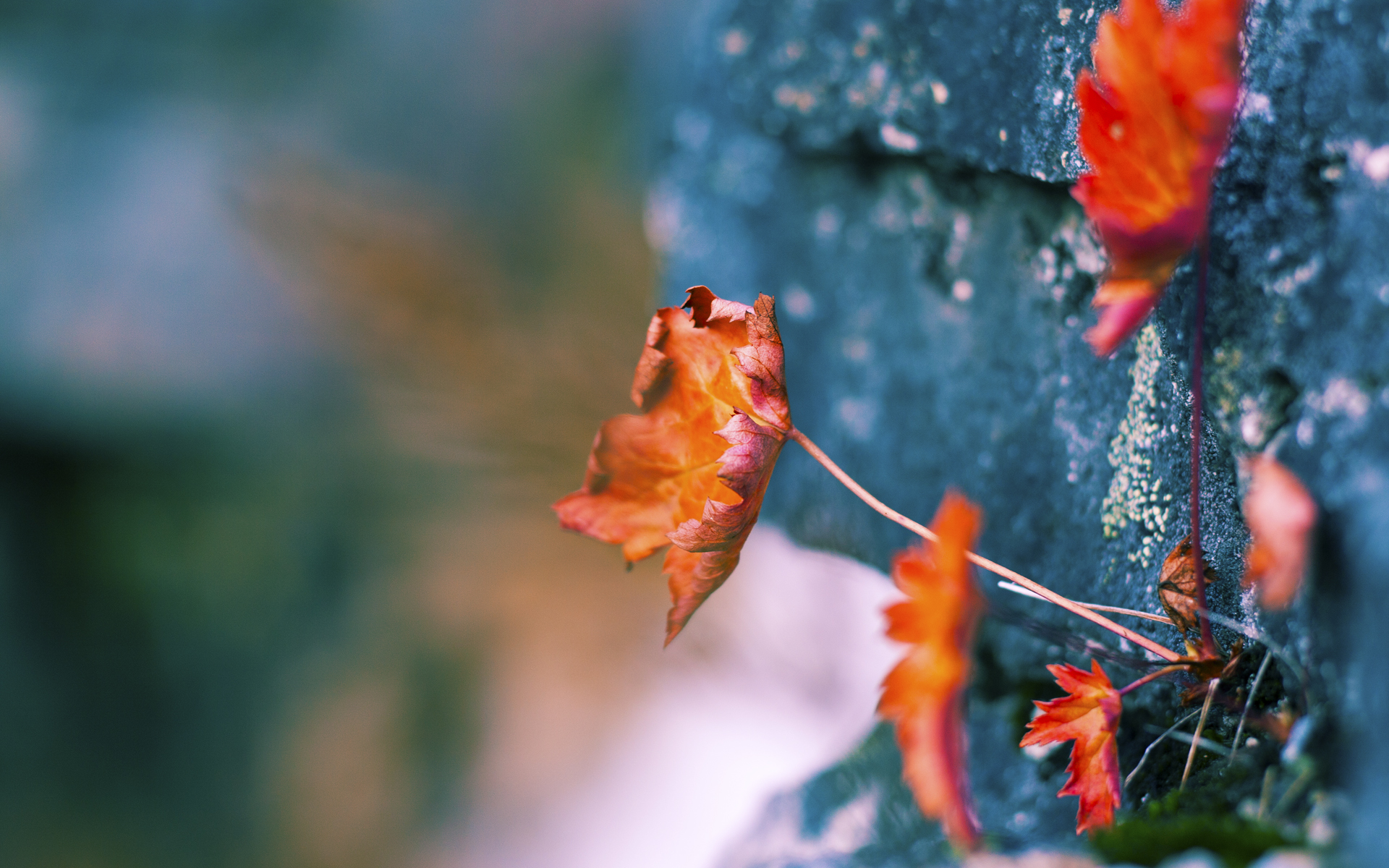 九游娱乐官网 (jiuyou)-中国女篮控球稳定性持续提升，中国篮球女篮