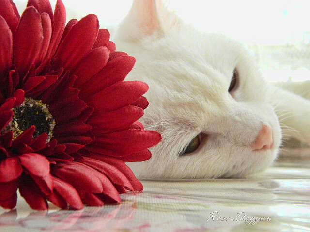 -中超联赛中国女足战平 技术水平持续稳定，中超球队女足