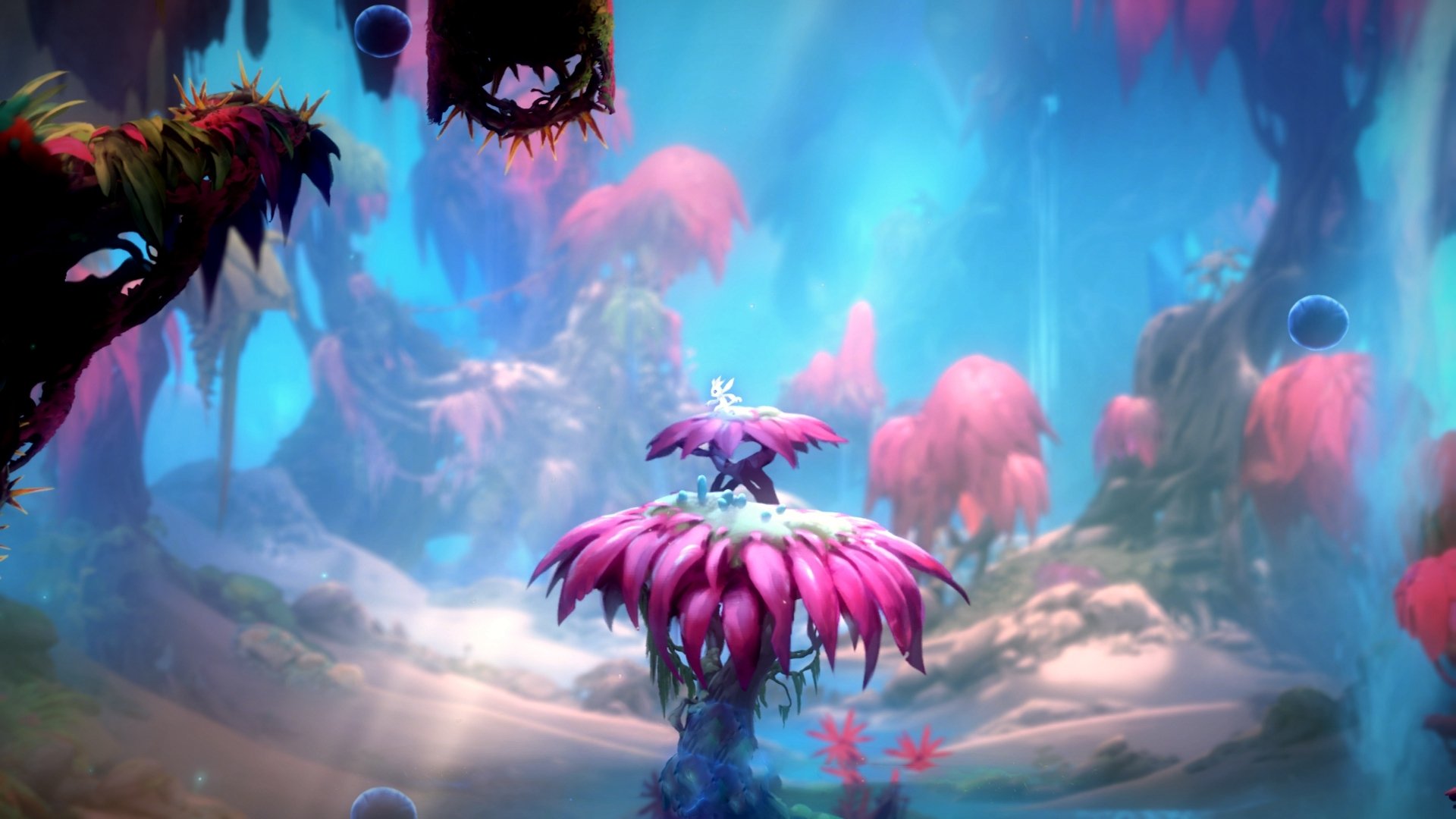 九游娱乐-冲刺阶段爆发力增强，表现抢眼，冲刺爆发力训练