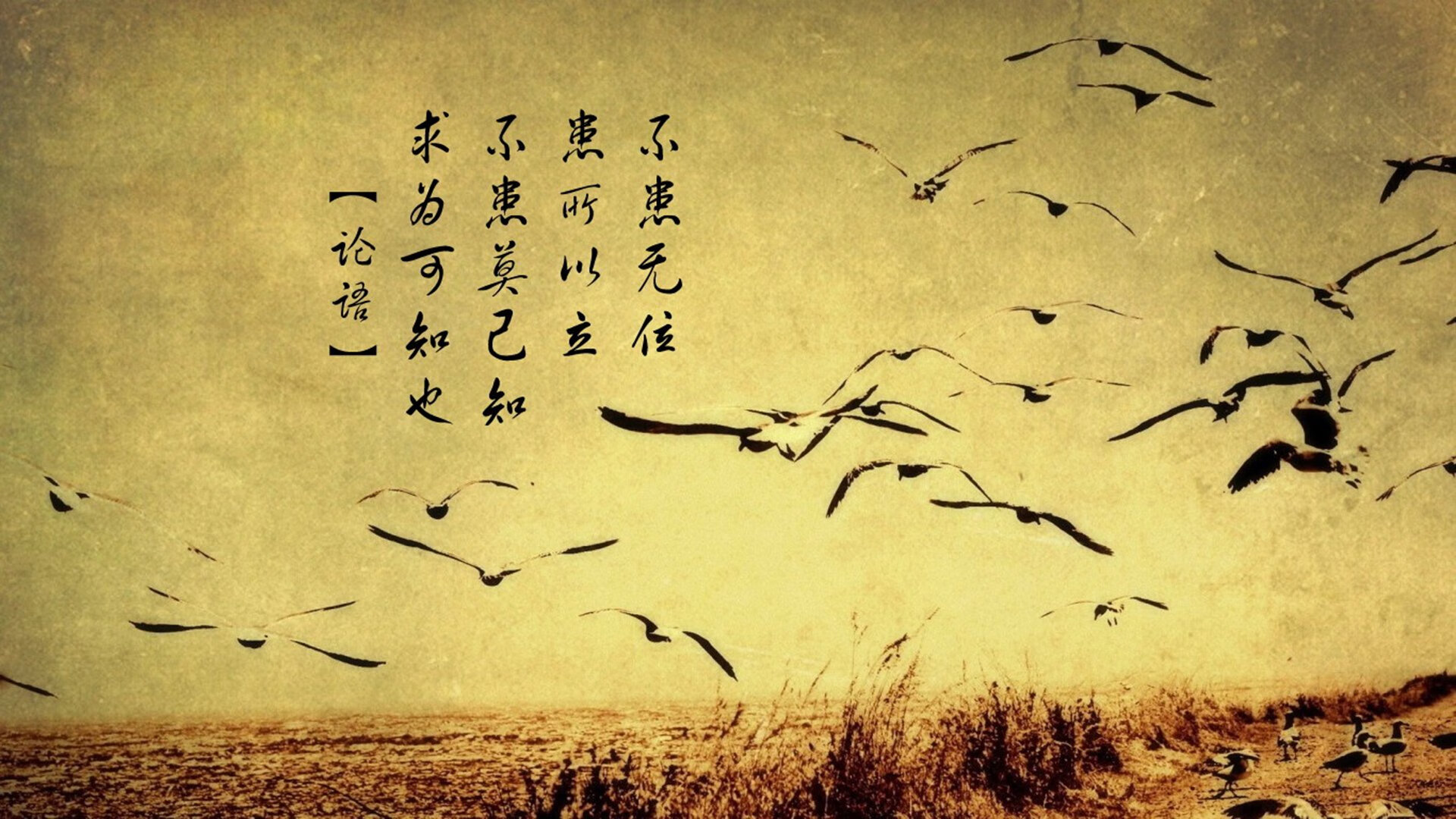 -校园体育文化节融合运动与艺术元素，校园体育艺术节及运动会