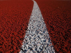 九游9游-田径项目专项训练成效显著，田径专项体能训练