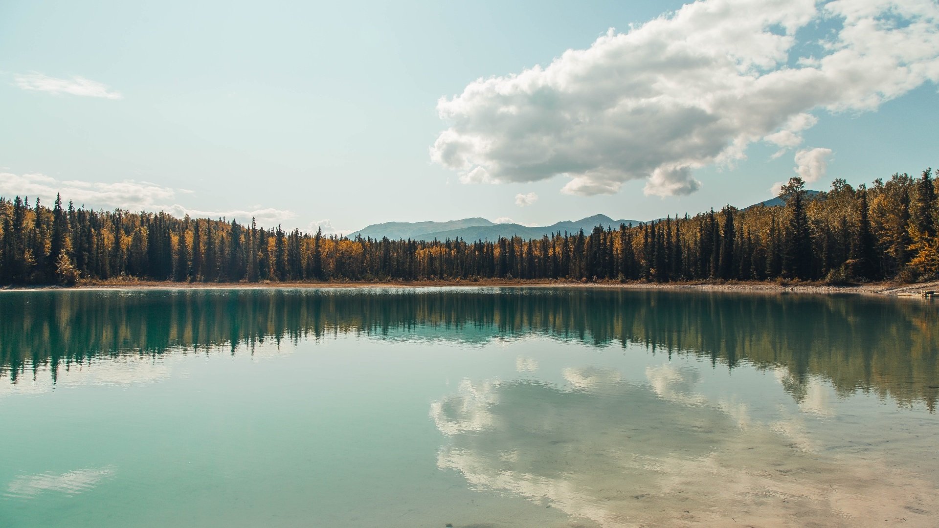 九游电脑版-罗马尼亚队赛制分析：如何通过战术调整增强团队整体竞争力，罗马尼亚已组联赛
