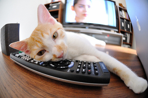 节奏偏慢的球队是否更依赖战术执行,认为节奏太慢往往是由于什么