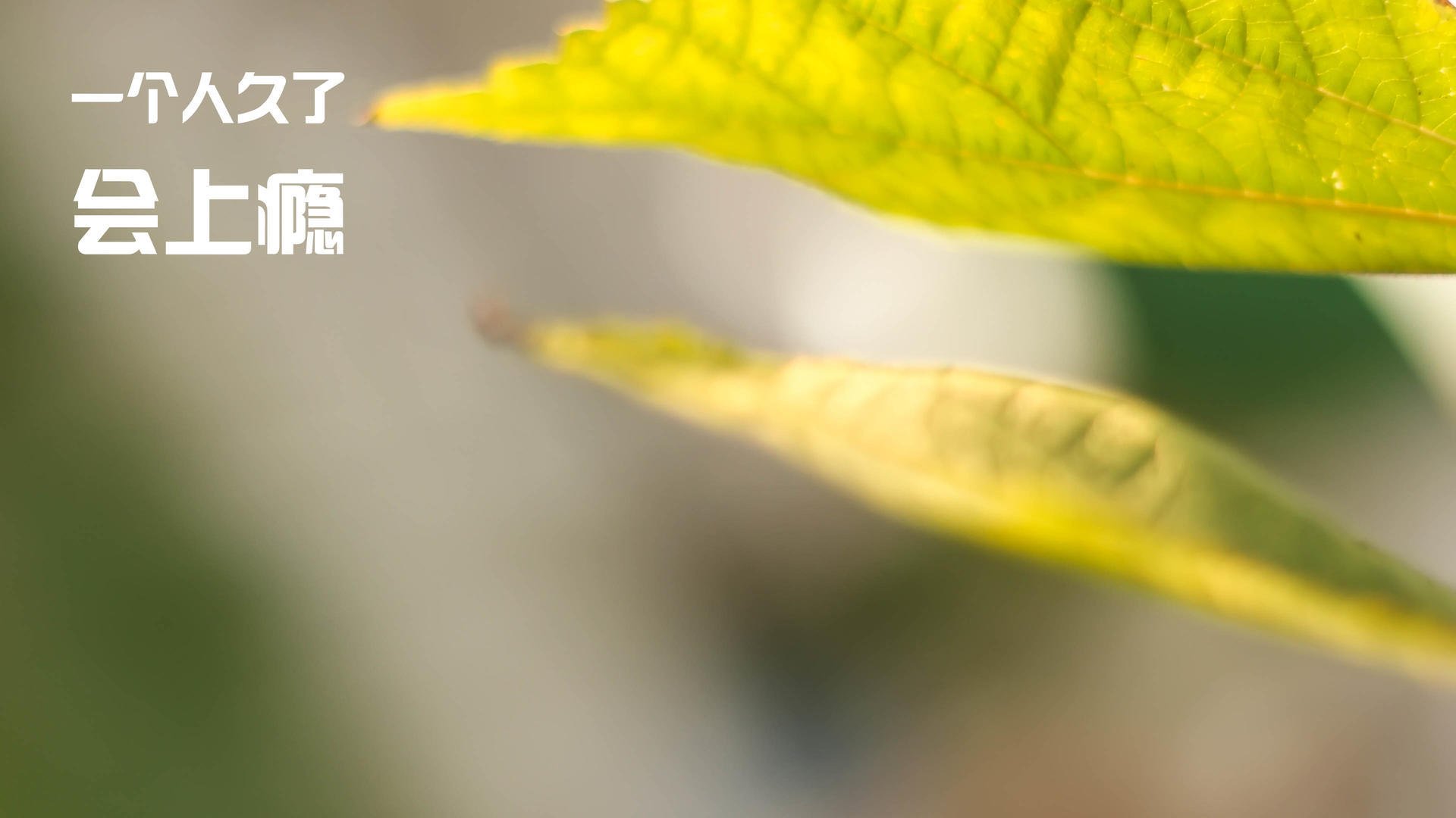 九游登录中心-国家游泳中心发布水上项目设备安全检修通告，国家游泳场