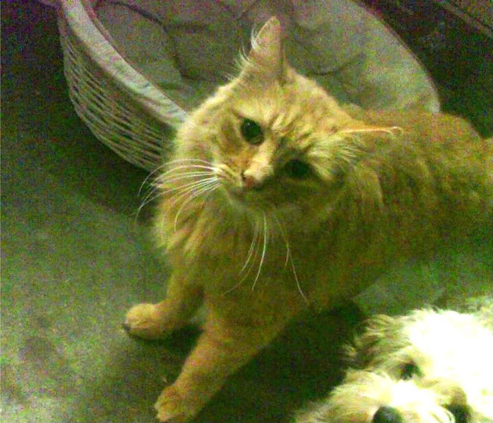 国足热身计划包括对阵中亚球队检验技战术执行力,国足热身赛赢过哪些强队