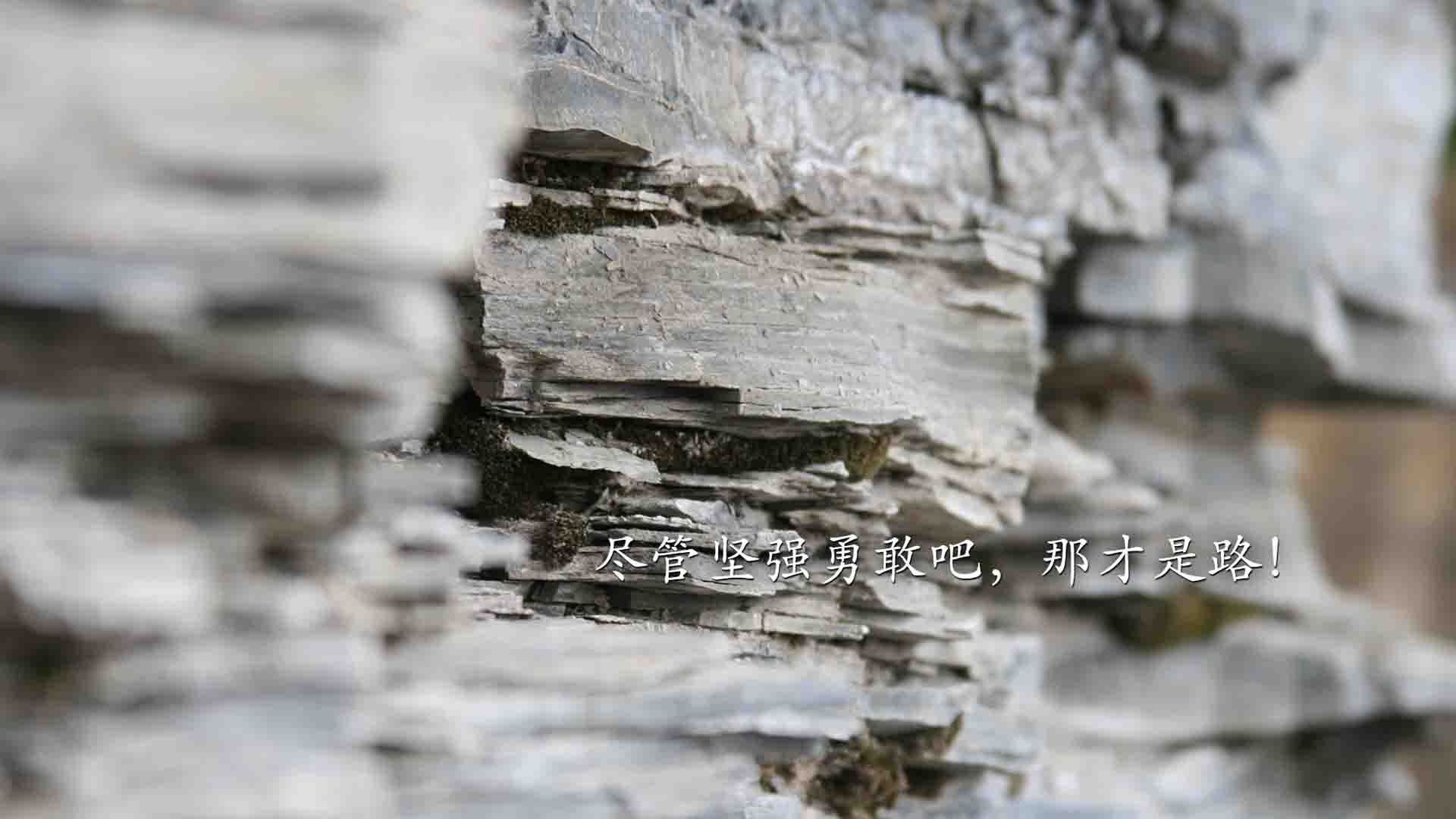 九游官网pc-张伟丽遭遇冷门止步八强格斗冠军赛，张伟丽是谁格斗张伟丽简历介绍