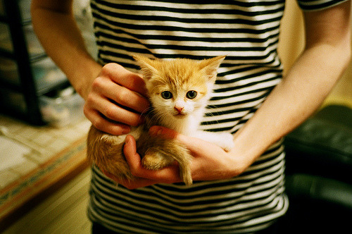 九游游戏中心-陈佳力压群芳摘金而归